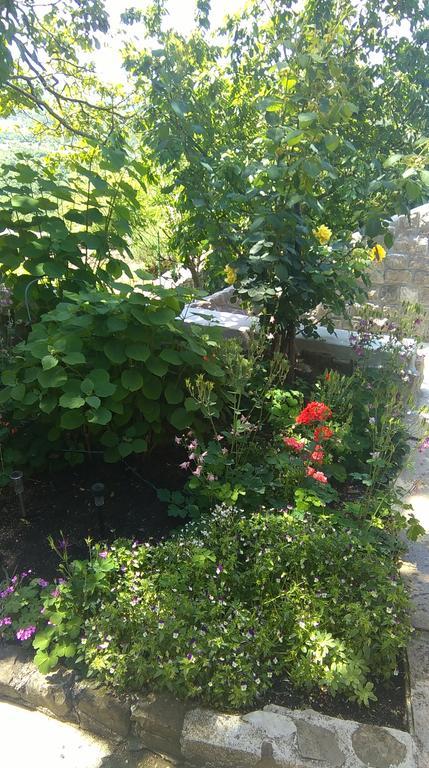 Apartment Pud Oreh Roč المظهر الخارجي الصورة